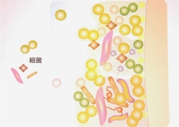 プラーク.jpg