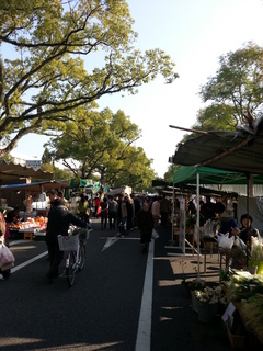 2013-11-17 09.19.24.jpg