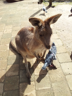 20130711_104156.jpg
