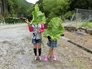 伶奈&杏弥 10 081.JPG